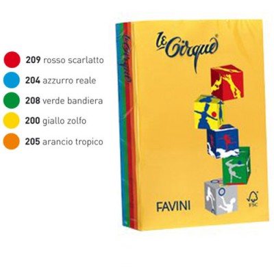 CARTONCINO A4 160 GR. 250 FG 5 COL. FORTI ASSORTIT